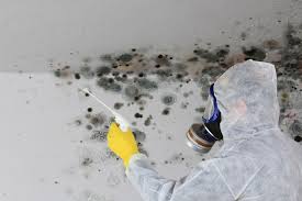 Mold Documentation for Insurance Claims in Independence, WI